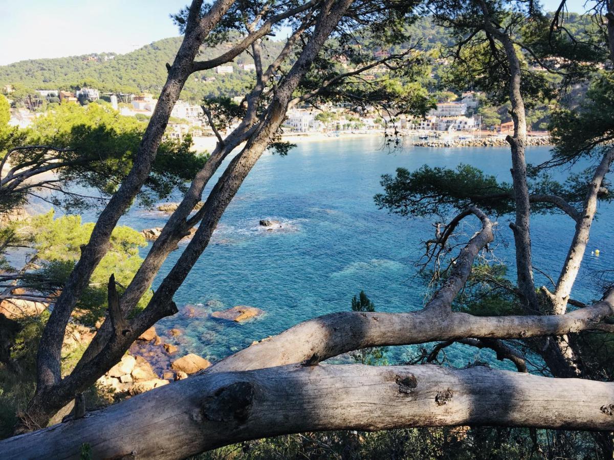 Anc 07 - Llafranc Daire Dış mekan fotoğraf